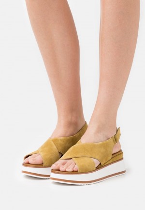 Anna Field Best Deal Leather Platform Sandaler Dame Brune | NO-LOBKR-9402