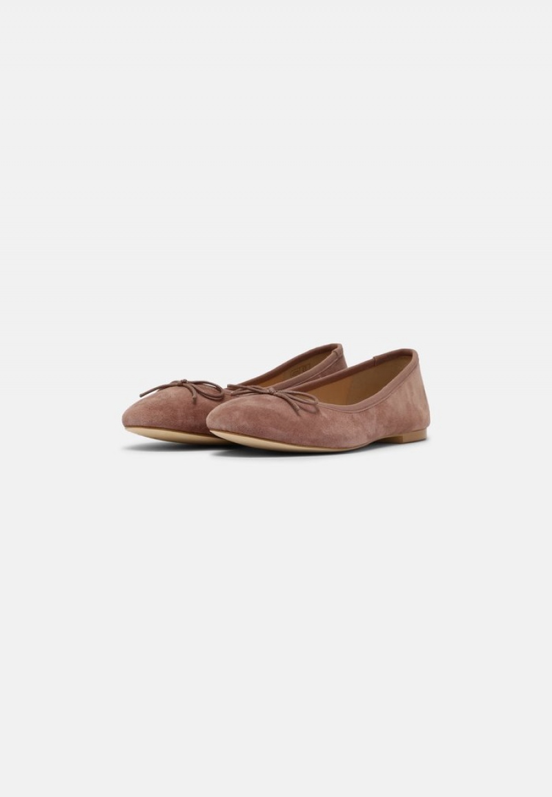 Anna Field Best Sale Leather Ballet Pumps Ballerinasko Dame Grå Brune | NO-TACUB-7890