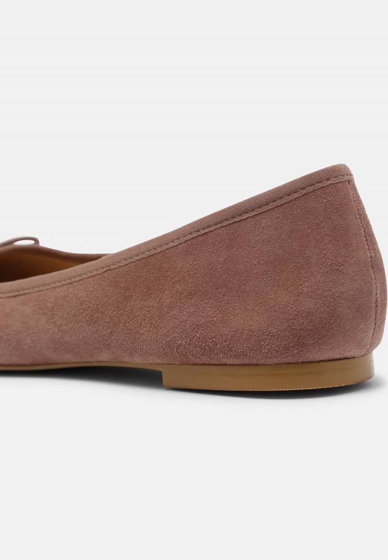 Anna Field Best Sale Leather Ballet Pumps Ballerinasko Dame Grå Brune | NO-TACUB-7890