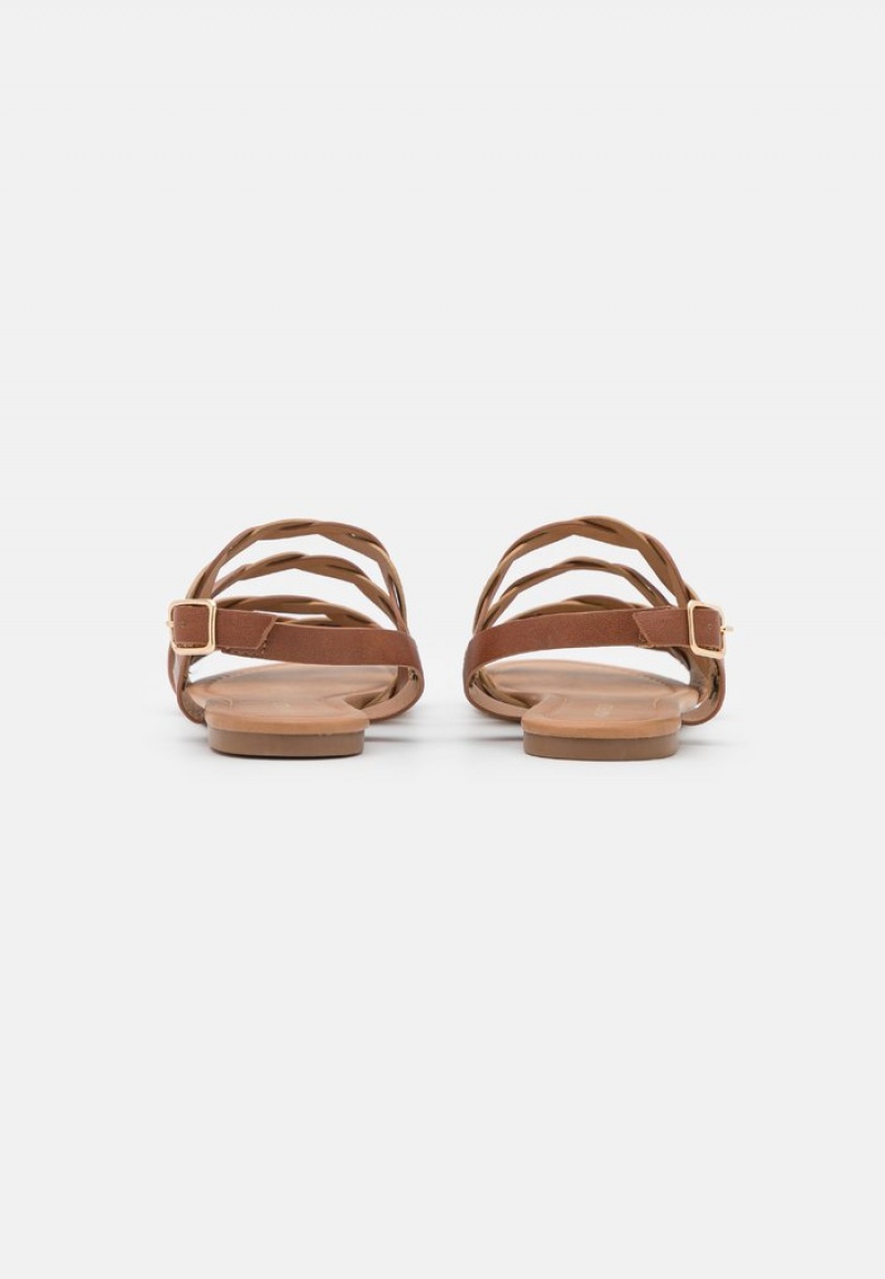 Anna Field Budget Sandaler Dame Brune | NO-PDWHZ-6472