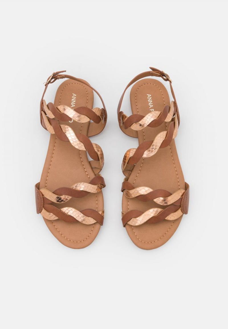 Anna Field Budget Sandaler Dame Brune | NO-PDWHZ-6472