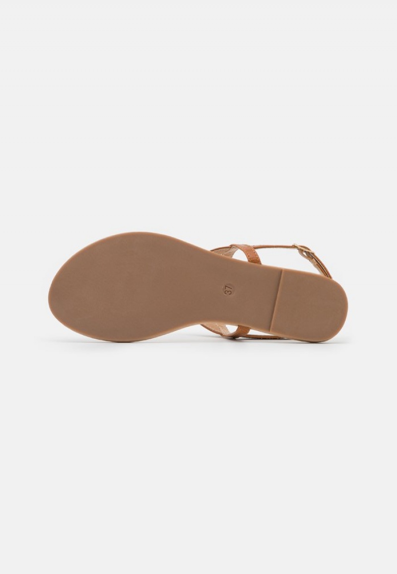 Anna Field Buy T-Bar Sandaler Dame Brune | NO-QUANS-6014