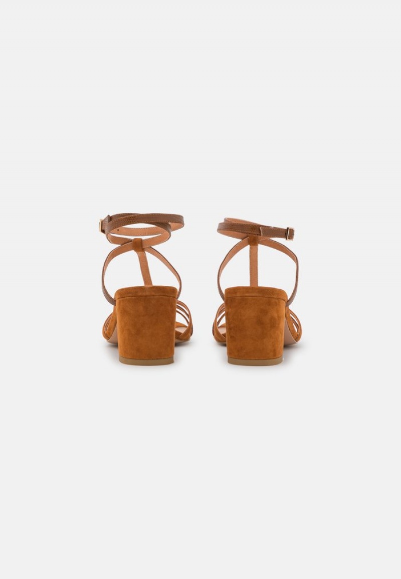 Anna Field Flash Sale Leather Sandaler Dame Brune | NO-UAYID-4908