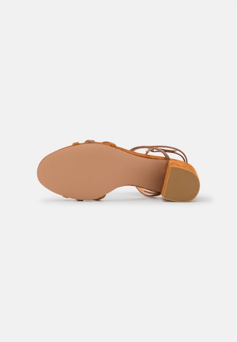 Anna Field Flash Sale Leather Sandaler Dame Brune | NO-UAYID-4908