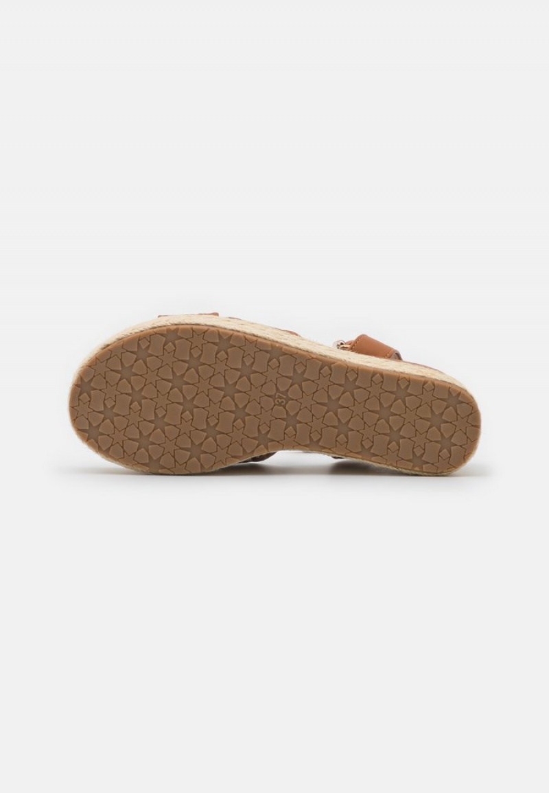 Anna Field Hot Sale Platform Sandaler Dame Brune | NO-YMDWO-6819