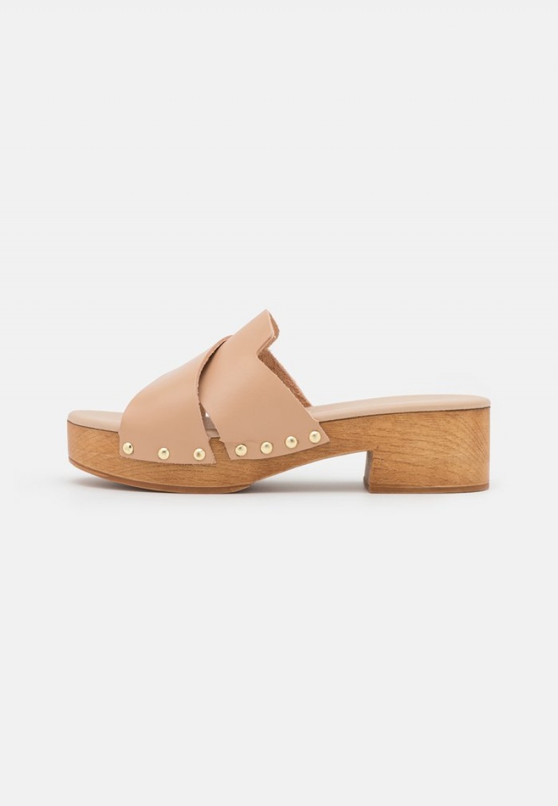 Anna Field New Leather Clogs Mules Dame Beige | NO-IVTRU-2148