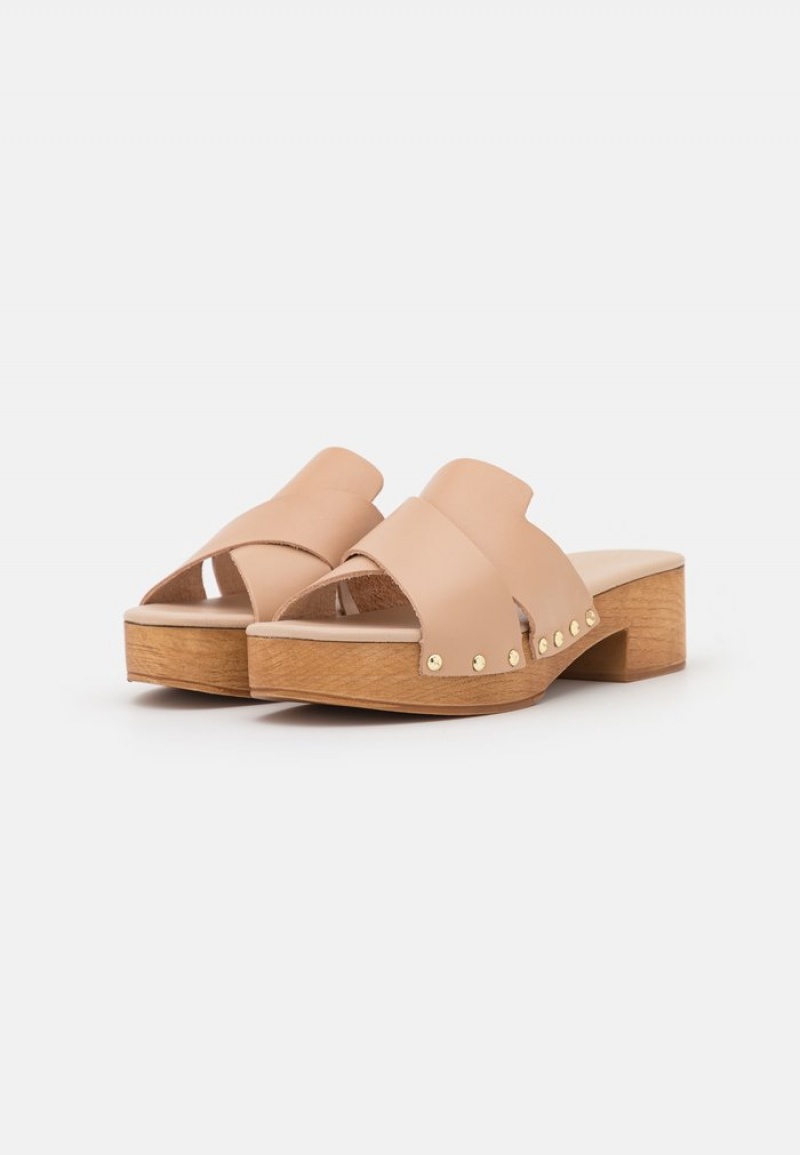 Anna Field New Leather Clogs Mules Dame Beige | NO-IVTRU-2148