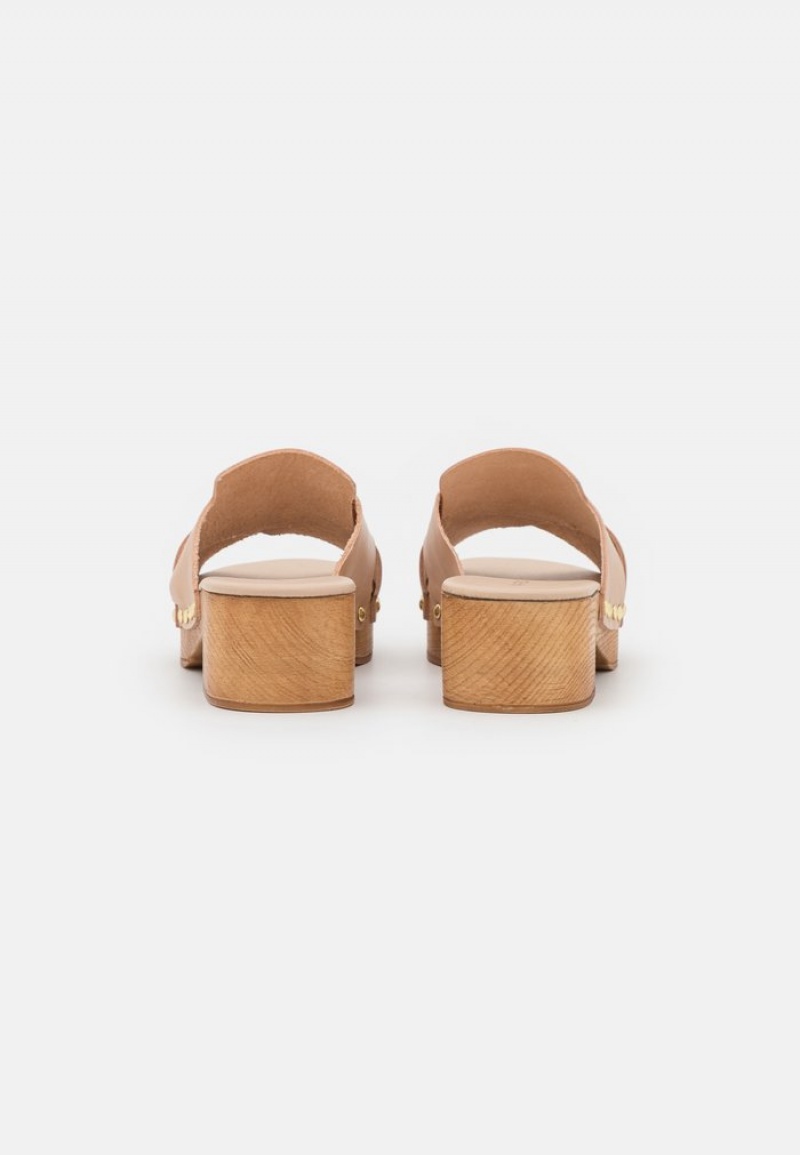 Anna Field New Leather Clogs Mules Dame Beige | NO-IVTRU-2148