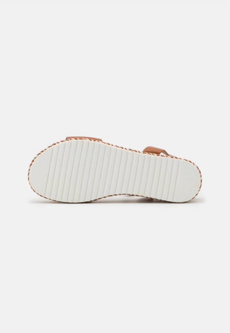 Anna Field Outlet Sandaler Dame Brune | NO-IGXBQ-8014