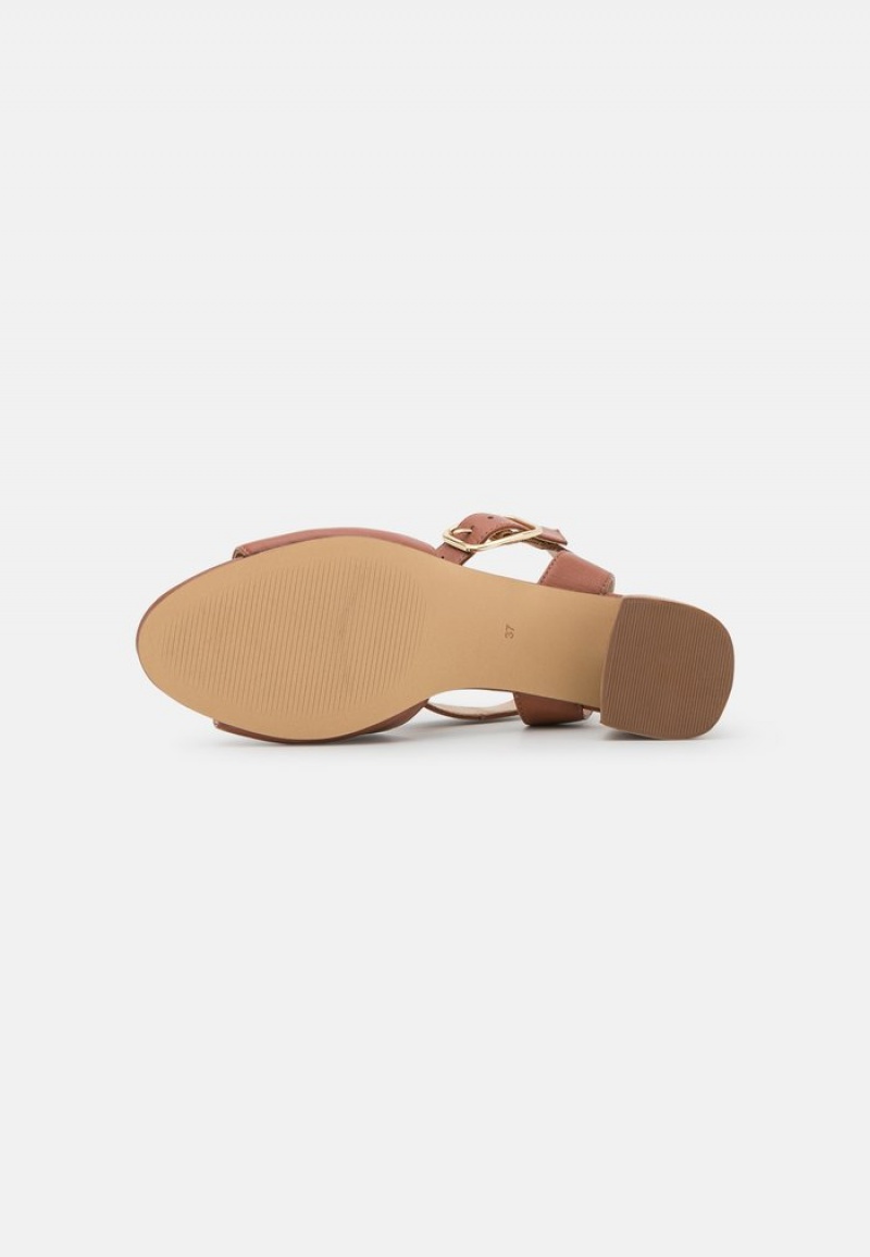 Anna Field Promo Leather Sandaler Dame Brune | NO-HCXUF-2703