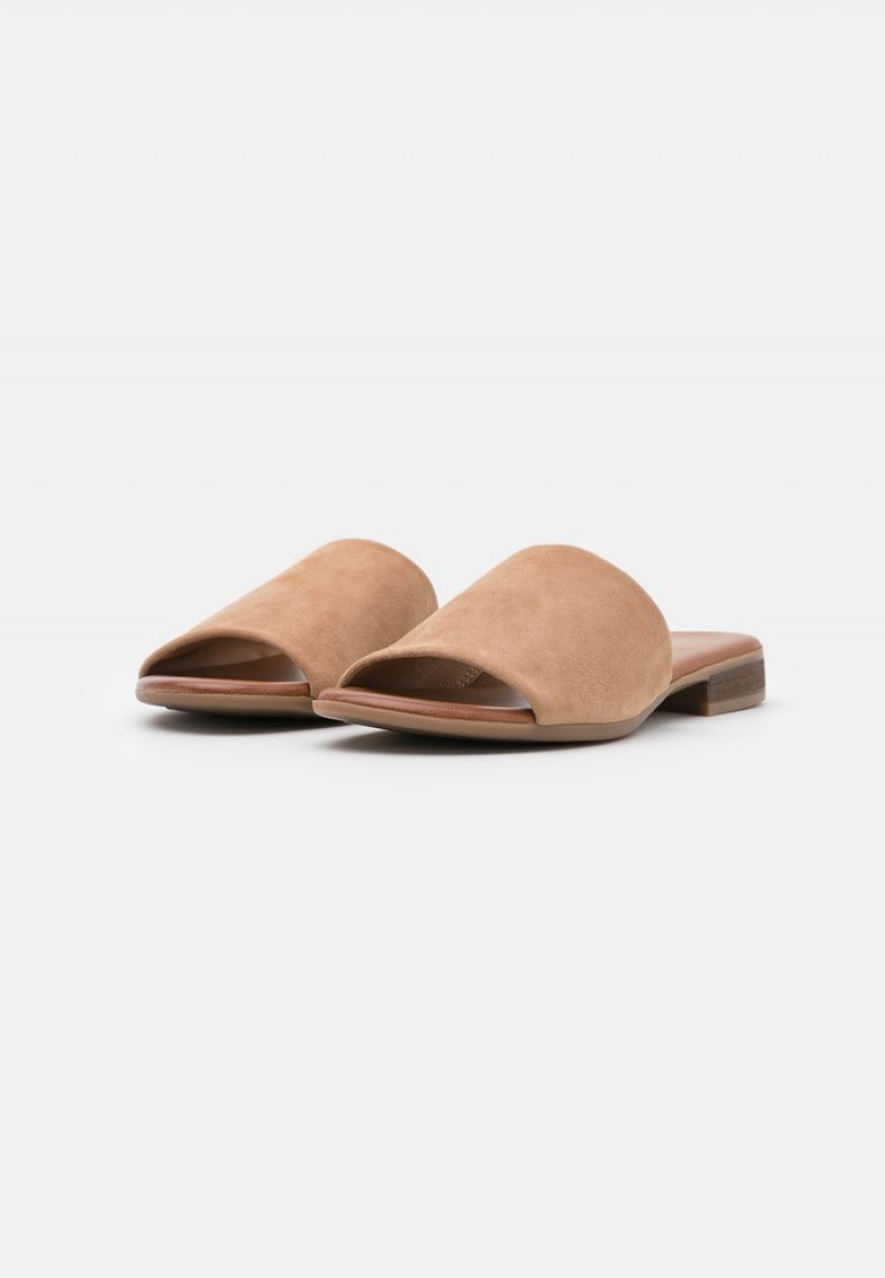 Anna Field Top 10 Leather Mules Dame Beige | NO-KUAHW-2540