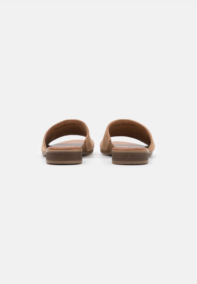 Anna Field Top 10 Leather Mules Dame Beige | NO-KUAHW-2540